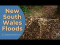 Floods In NSW - Nature Photography Vlog April 2021