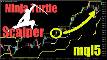 Ninja Turtle Scalper Strategy for MT5 Explained