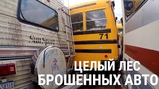 НАШЕЛ ЦЕЛЫЙ ЛЕС БРОШЕННЫХ МАШИН,ИХ СОТНИ!(ЛИМУЗИНЫ/АВТОБУСЫ/РАРИТЕТЫ/ДОМА НА КОЛЕСАХ)