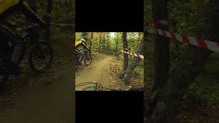 Влетел В Дерево #Mtb #Ridemtb #Bike #Mountainbike #Mountainbiking #Downhill #Gopromtb #Freeride #Bmx