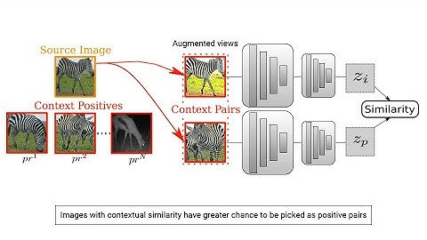 Focus on the Positives: Self-Supervised Learning for Biodiversity Monitoring - ICCV 2021