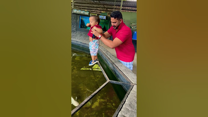 #fish #aquarium #cute #foryou #kids #entertainment #ornamentalfish #shorts #viralvideo