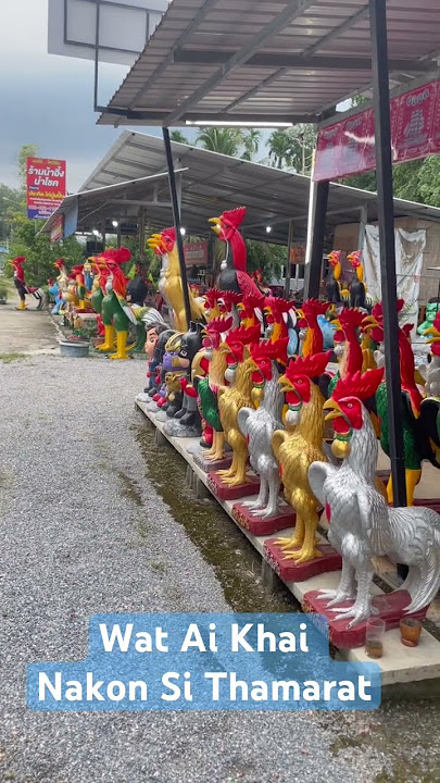 Dari Sungai Golok lebih 400 km ke Wat Ai Khai , District Si Chon #nakhonsithammarat
