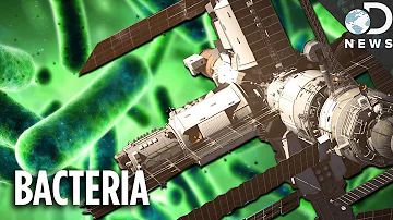 Does bacteria exist in space?