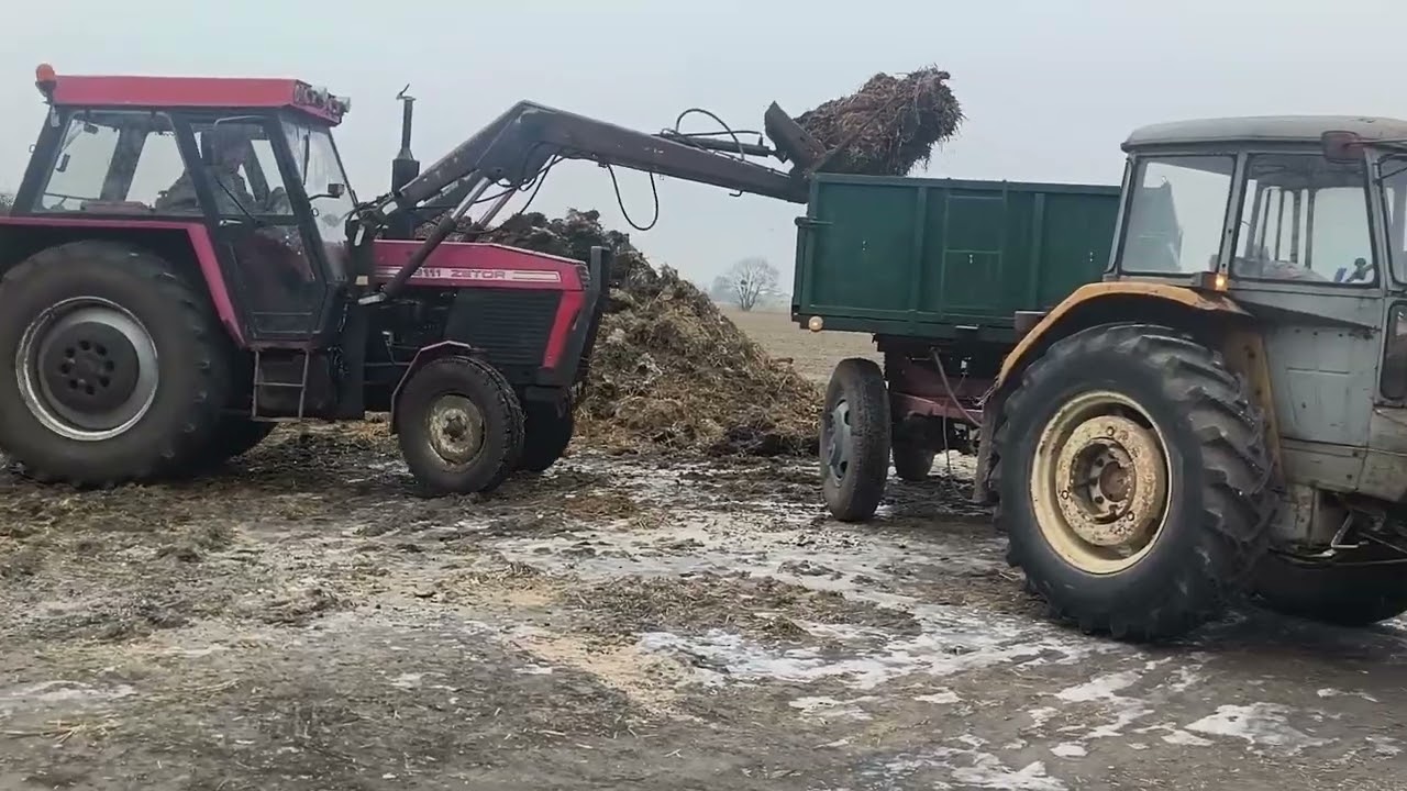 obornik w polskim stylu