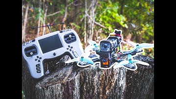 5" Alien Quad Build (Mr. Steele Edition)