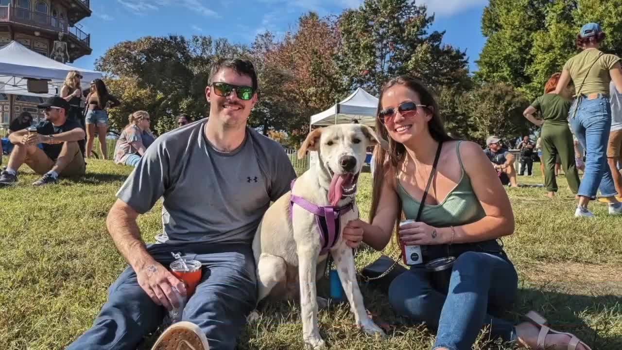 Fun events around Maryland this weekend