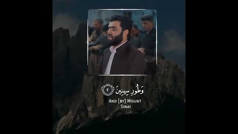 ⁦❤️⁩سورة #التين بصوت رائعة _بيشةوا_قادر_الكردي