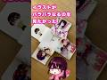 【中2が頑張る】自分の絵でパラパラするやつやってみた結果、、、。