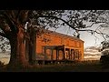 Abandoned 18th century NC plantation house