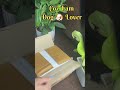 Just Bcoz I am dog lover #shortsfeed #viralvideo #shortvideo #trending #randomfind #meesho