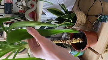 Arduino Capacitive Touch Sensor and Sound