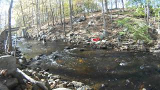 Macroinvertebrate Sampling
