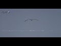 [한글 자막]  Last Summer Whisper - Anri