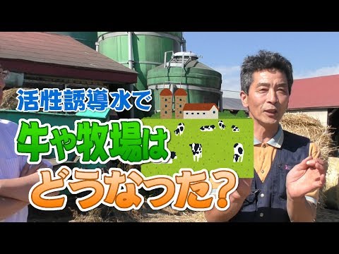 活性誘導水で牛や牧場はどうなった？デイリーネットワーク【第５０回】