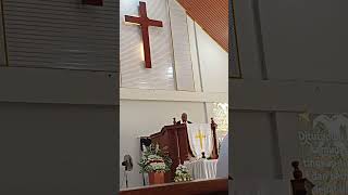Firman Tuhan Kejadian 8:7-22