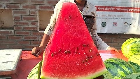 তরমুজ বিক্রি হচ্ছে ৪০ টাকা কেজি।।Watermelon is being sold for 40 taka per kg.