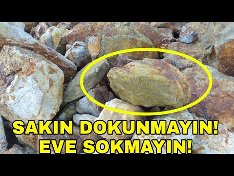 Video: Baz alt yongaları: uygulama, faydalar