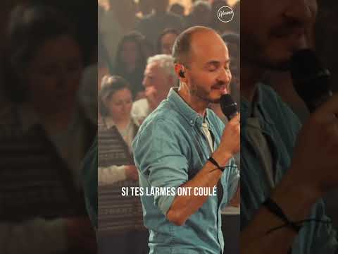 Laisse moi te