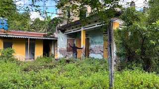 Cleaning up the overgrown grass disaster around the abandoned house  Strangely satisfying