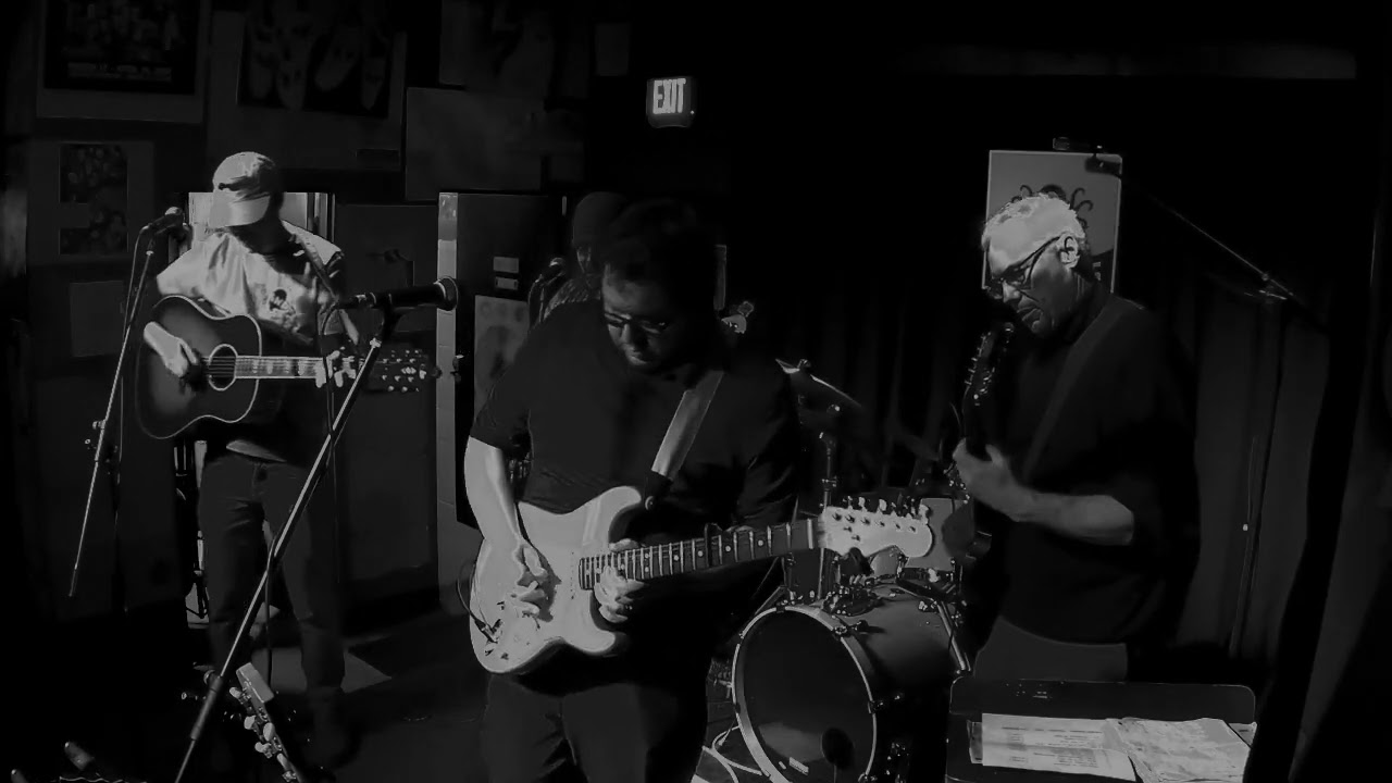 Dave Helmer Band Saturday Night LIVE at Octopus Cedar Falls, IA