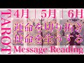 【4月｜5月｜6月】上半期の下半期‼︎流れ、展開、運命を切り拓き、使命を全うするメッセージをタロットカードリーディング🌬️素晴らしい人生へ🕊️楽しんでご覧ください♪♪