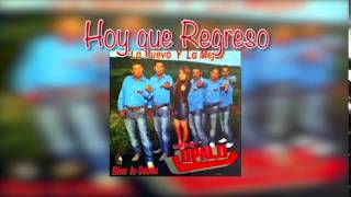 Hoy Que Regreso