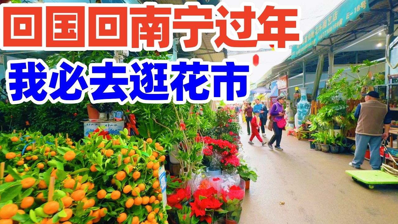 【回国旅居南宁】回南宁过年, 一定要逛的必是南宁花市! 春节前走进广西最大的花鸟交易市场! 南宁春节花市! 南宁花市! 南宁! 南宁旅游! nanning guangxi 南宁旅行