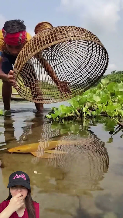 TANGKAP IKAN EMAS DI SAWAH ‼️#shorts #funny #dubbing