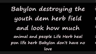 More Herbs I Wayne Lyrics on Screen D S T  Riddim