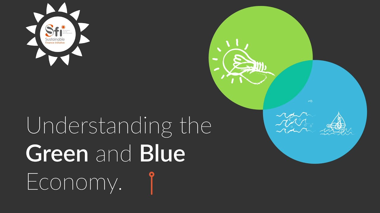 Understanding the Blue and Green Economy YouTube