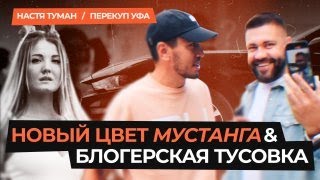 МУСТАНГ НАСТИ ТУМАН НА БЛОГЕРСКОЙ ТУСОВКЕ