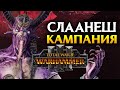 Слаанеш Total War Warhammer 3 - кампания Н'Кари на русском