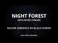 Soothing NIGHT FOREST Sounds 8 Hours Of Nature Ambience For Relaxing Sleeping ASMR 