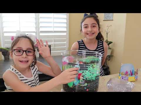 Our Little Live Pet Furtail Youtube