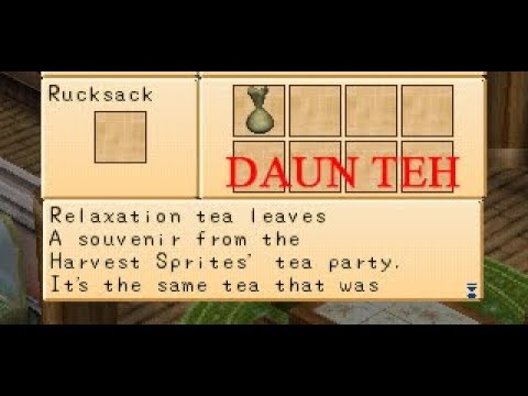 cara-mendapatkan-daun-teh-(relaxation-tea-leaves)-di-harvest-moon-back-to-nature