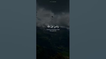 سورة هود إيه 115