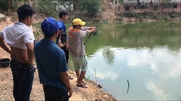 HỘI CÂU CÁ TÂN UYÊN| CHINH PHỤC CÁ TRA DA BÒ 21kg TẠI LONG HỒ