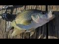 Double Jig Rigs for Crappie - A Complete Guide