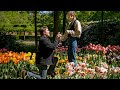 Letts Get Married! | Proposal at the Keukenhof in the Netherlands