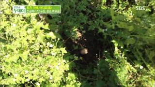 생방송 투데이 131008 #10(8)