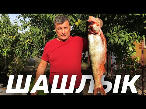 ШАШЛЫК ИЗ ТОЛСТОЛОБА — САМЫЙ ПРАВИЛЬНЫЙ МАРИНАД