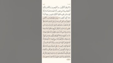 صفحة ( 203 ) #سورة_التوبة مكتوبة مكررة بصوت #ياسر_الدوسري #الجزء_الحادي_عشر #قرآن #quran #تلاوات