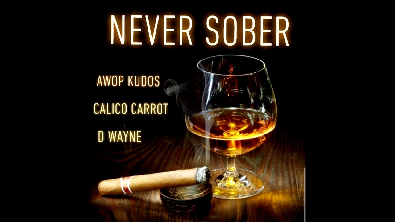 Awop Kudos, Calico Carrot & D Wayne - Never Sober