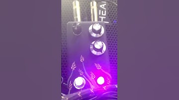 Rage Against the Machine riff with the Lurch Audio Triticale fuzz pedal