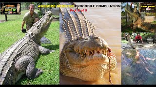 Aussie CROCODILE MAN CROCODILE Attack COMPILATION! Top 10 CROCDILES CROC VS Croc Dude YOUTUBE 4 of 5