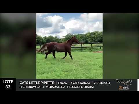 33   CATS LITTLE PIPPETE