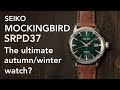 Seiko SPRD37 "Mockingbird" First Look + Where to Buy?