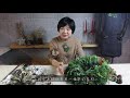 諾貝松聖誕花圈 Nobelfir Christmas wreath