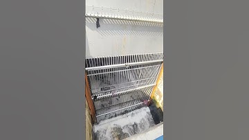 Automatic Trash Rake